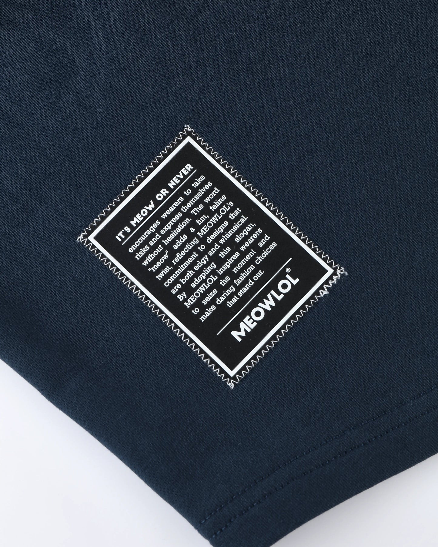 CATLIFORNIA ROUND HEM OVERSIZED T-SHIRT