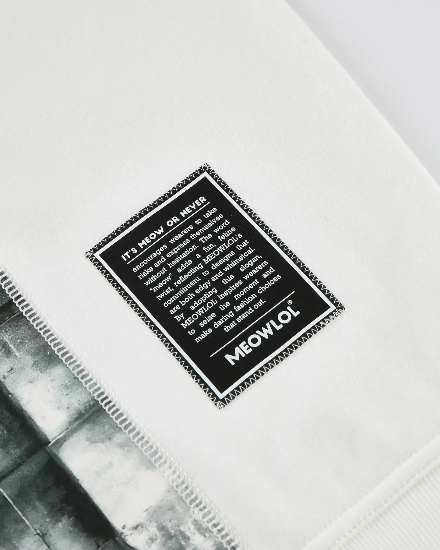 MEOWKSY FRONT POCKET OVERSIZED T-SHIRT