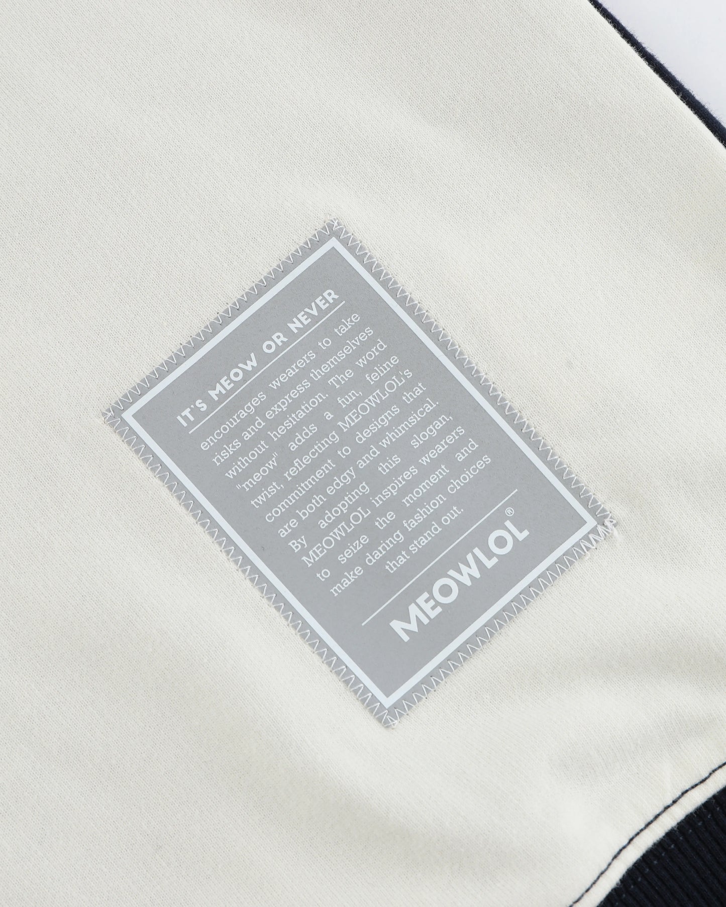 BRIBES ONLY PLEATED SLEEVES EASY FIT SWEATSHIRT