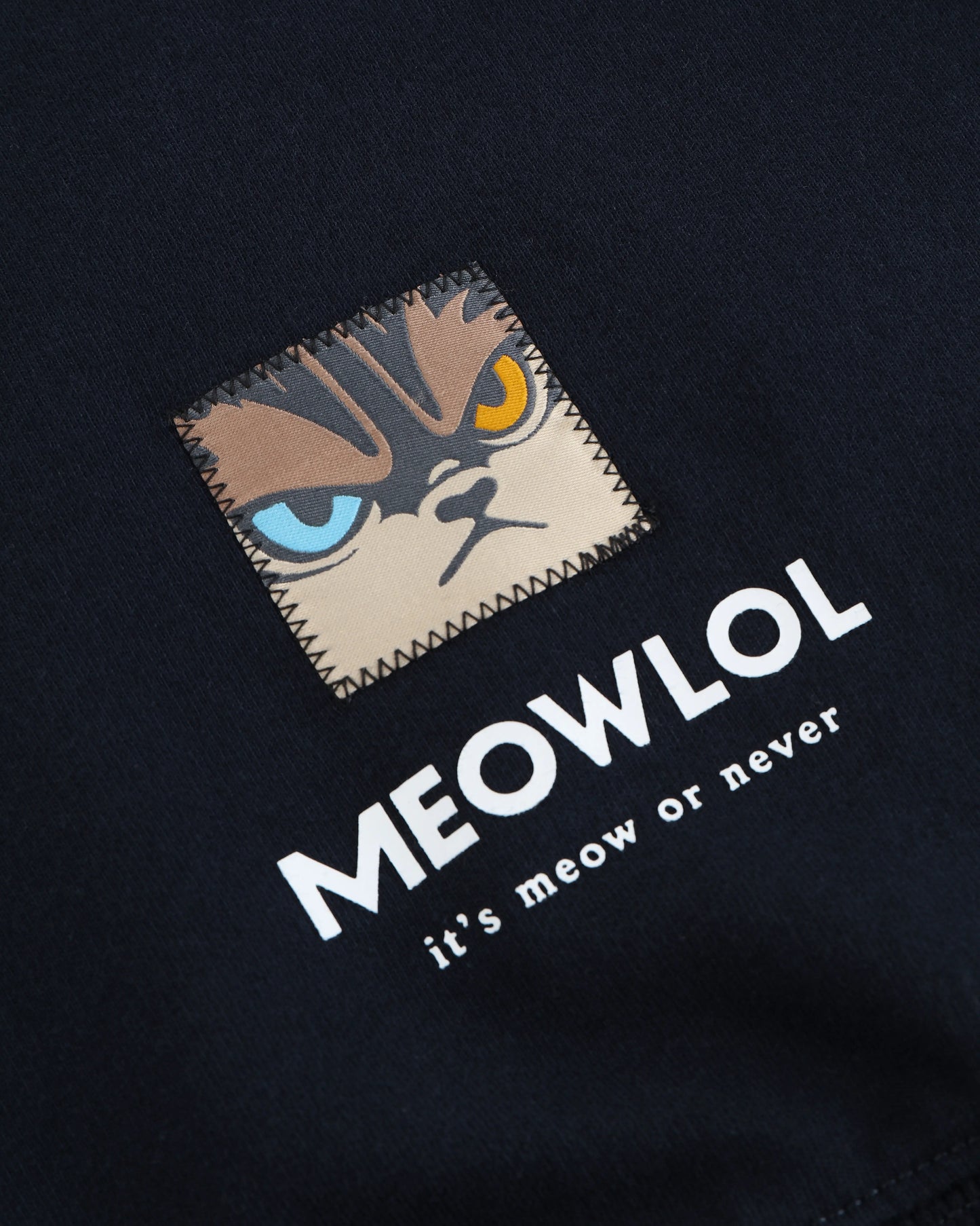 BRIBES ONLY PLEATED SLEEVES EASY FIT SWEATSHIRT