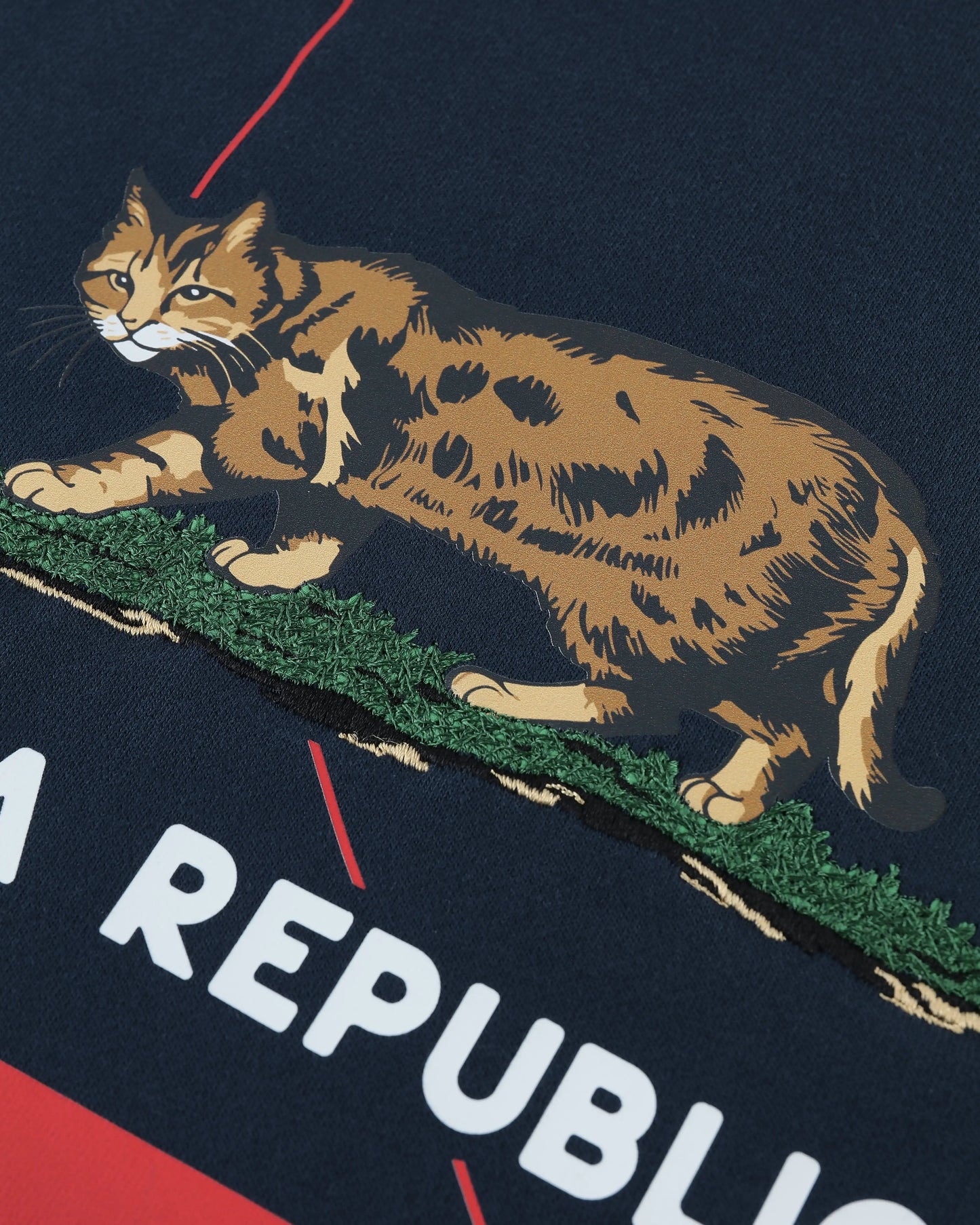 CATLIFORNIA ROUND HEM OVERSIZED T-SHIRT