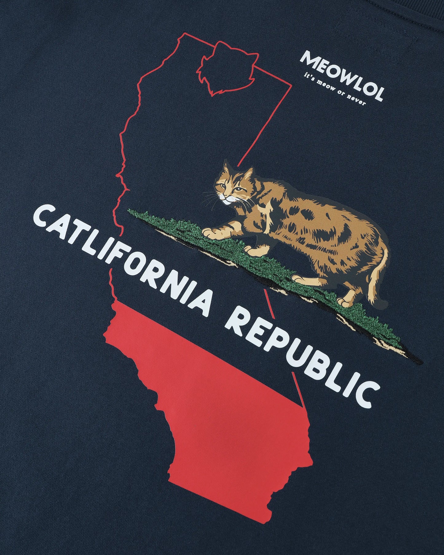 CATLIFORNIA ROUND HEM OVERSIZED T-SHIRT