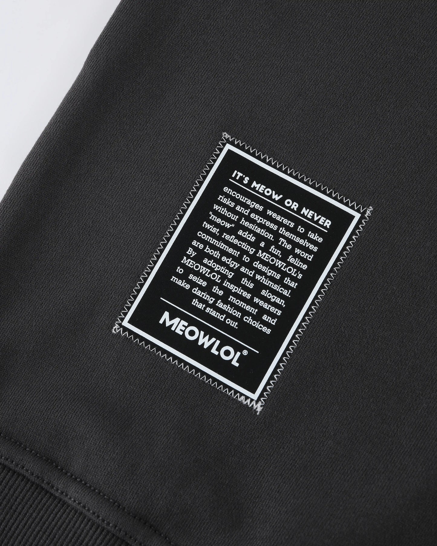 FLODING PAPER CAT LOGO MEOWLOL CREW  FRONT POCKET OVERSIZED T-SHIRT