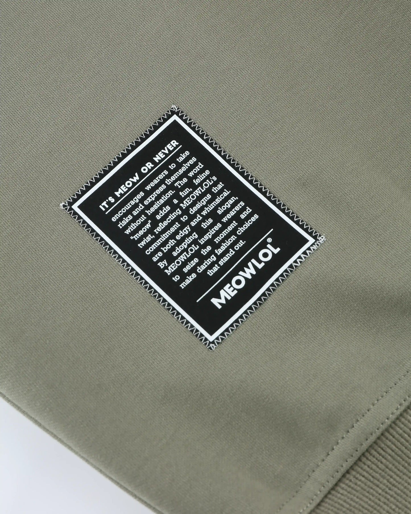 MEOWGIELA FRONT POCKET OVERSIZED T-SHIRT