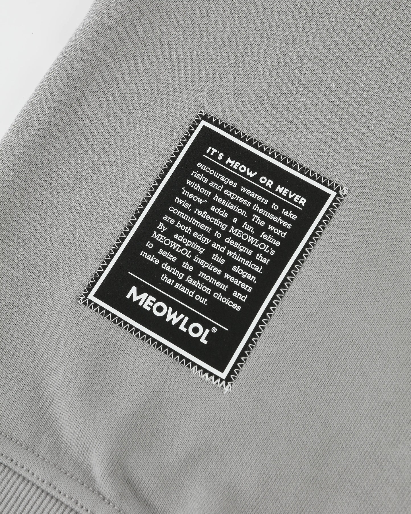 THE CLAY CAT LOGO HEADFRONT POCKET OVERSIZED T-SHIRT